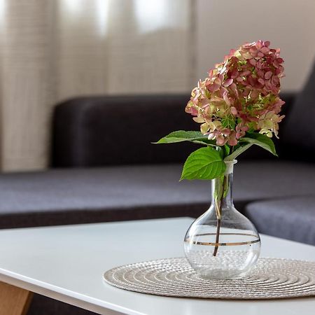 Violetos Lux Apartamentai2 Druskininkai Exteriör bild