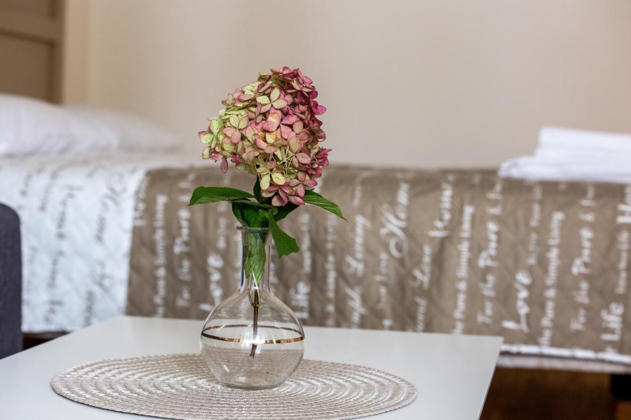Violetos Lux Apartamentai2 Druskininkai Exteriör bild